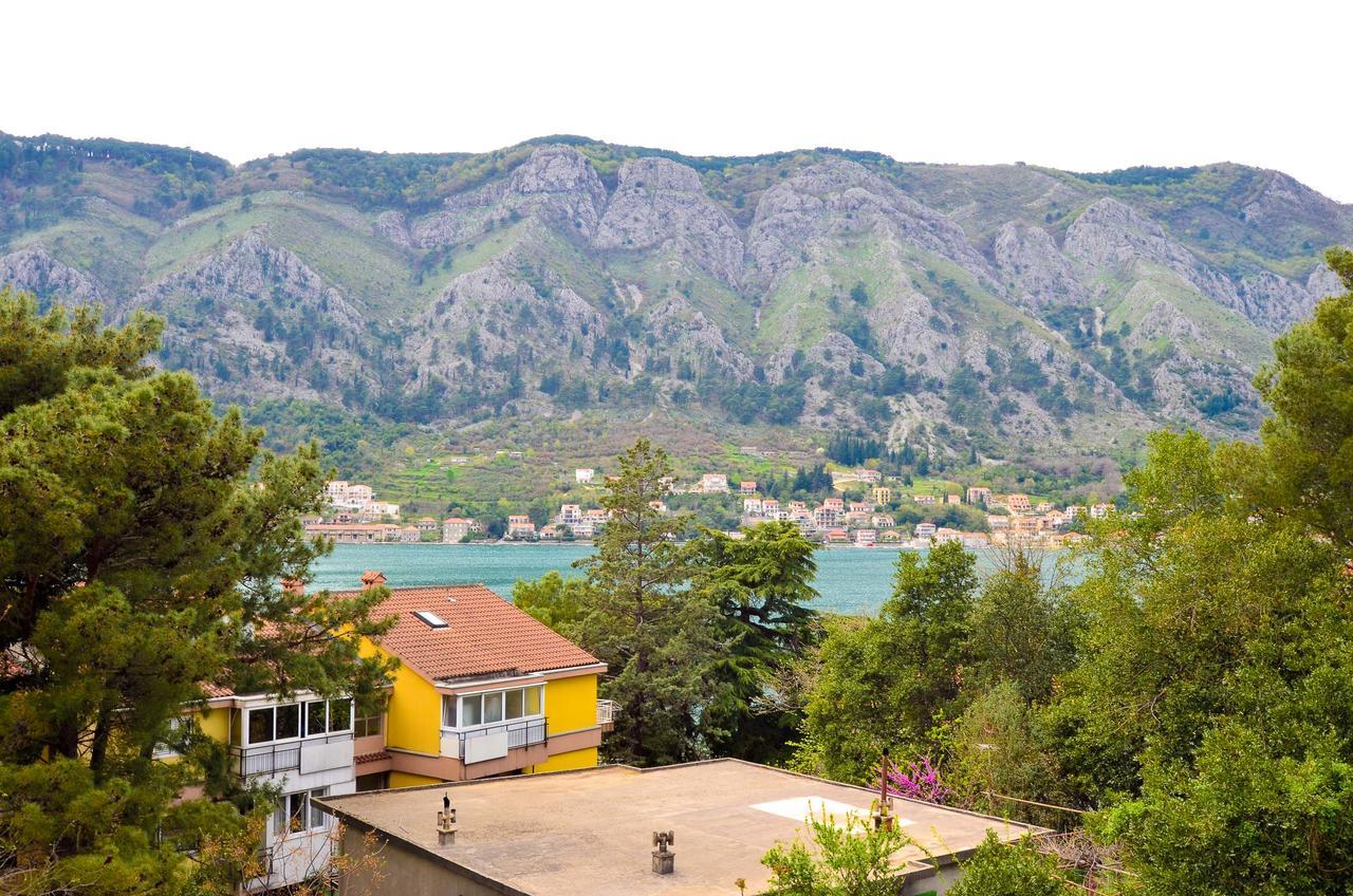 Central Apartment Kotor Ngoại thất bức ảnh