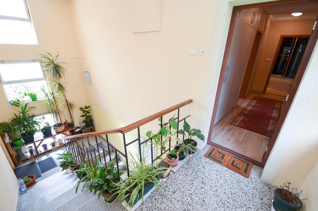 Central Apartment Kotor Ngoại thất bức ảnh